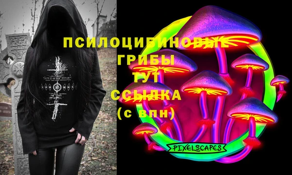 мдпв Алексин