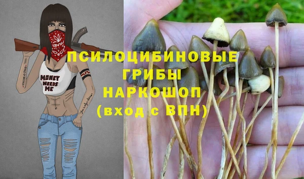 молекула духа Алексеевка